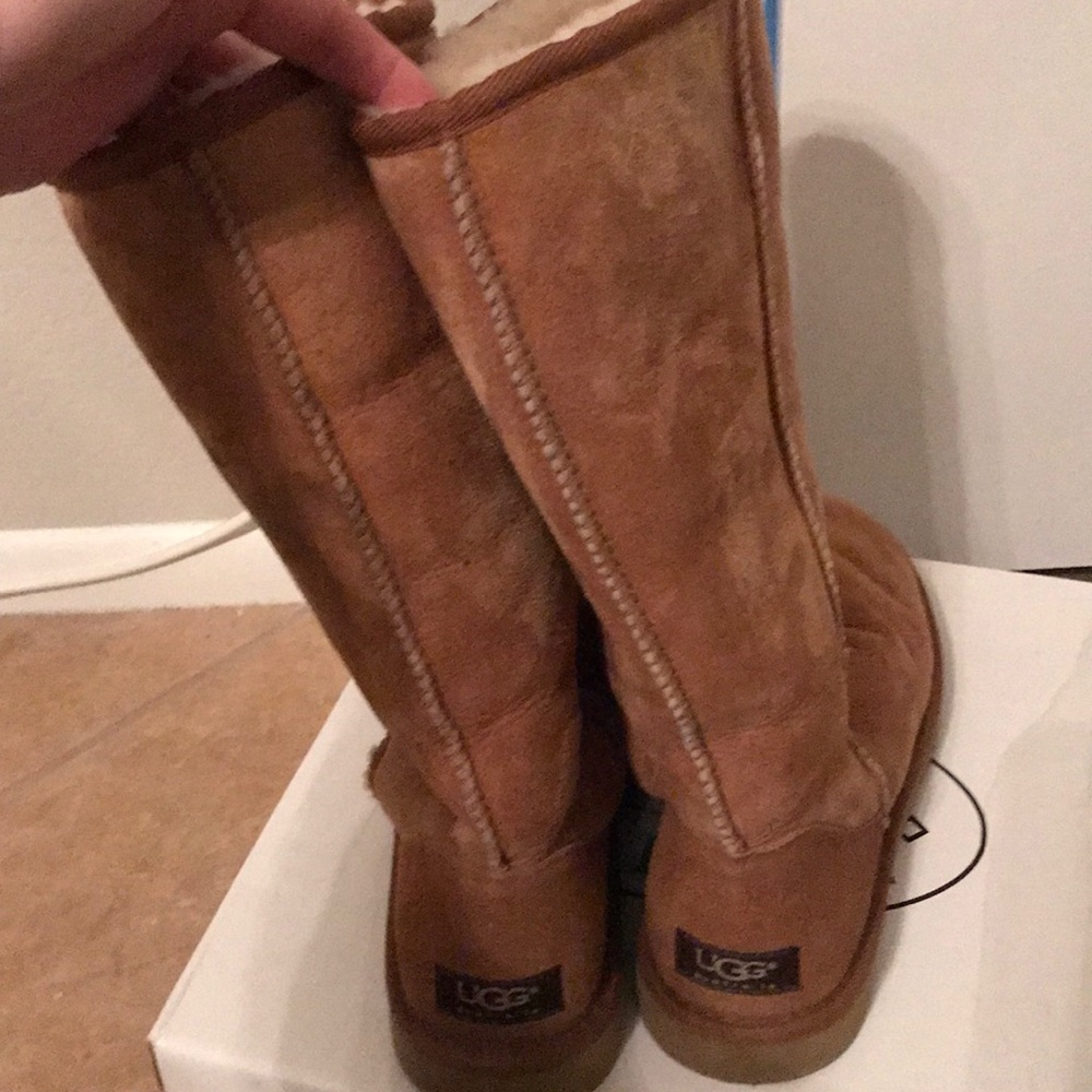 Chestnut tall uggs